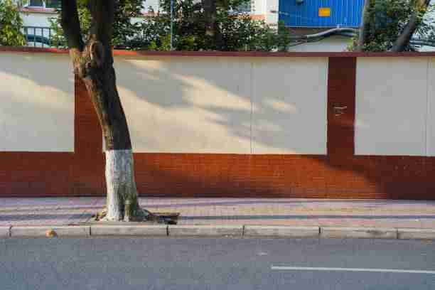 每日大赛黑料玩家手记·增长黑客快报