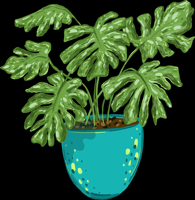 话题冲浪《51视频网站》爆火背后背后真相