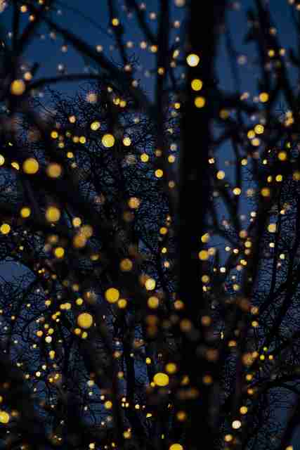 吃瓜51独家揭秘·爆火背后必读