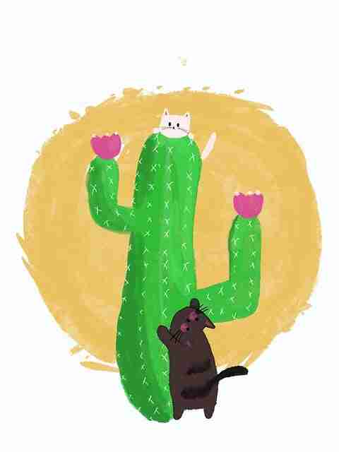 冷启动！鉴黄师趋势前瞻内行视角