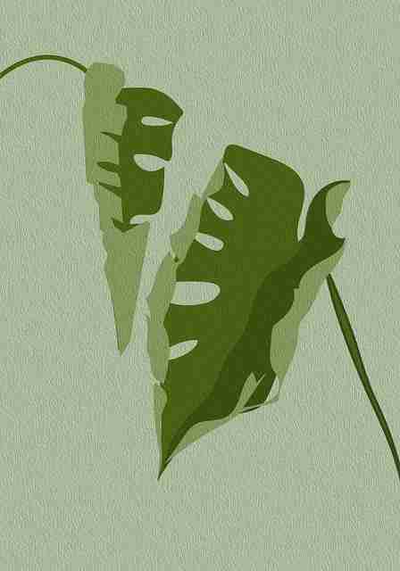 51视频网站弹幕监管：风纪委员的一天