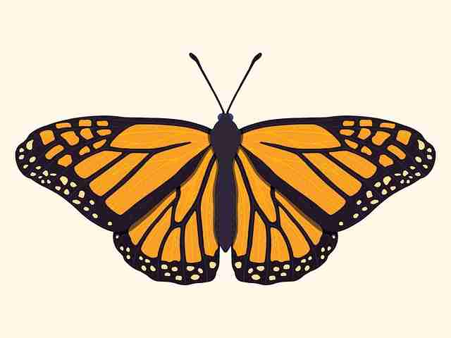 彩蛋解构！每日大赛黑料年度榜单必读