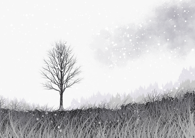 51网在线观看队列：直播秒开黑科技